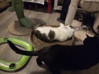 /album/262/whatsapp-image-2026-04-08-at-16-51-19-8-jpeg/